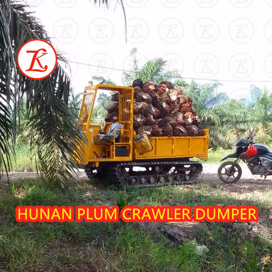 Nouveau Dumper sur chenilles 3,5 tonnes Mini Dumper sur chenilles en caoutchouc Dumper Carrier