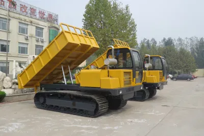 Dumper de camion sur chenilles à vendre transporteur sur chenilles à prix inférieur